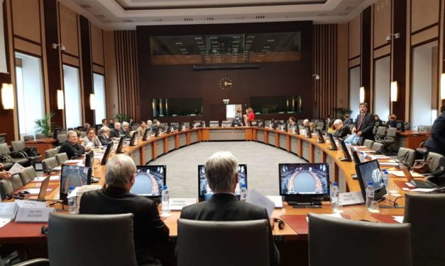 La Sinergia del Caribe-Unión Europea. Desafíos y oportunidades