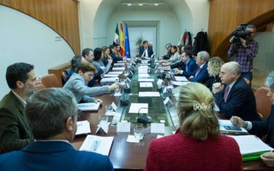 Yuste Foundation’s Board of Trustees approves its 2020 Action Plan and the merger with CDIEX