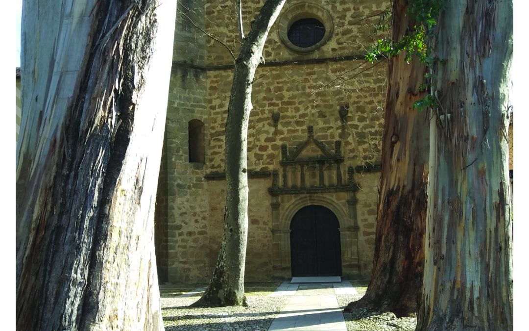 Memoria de actividades 2020